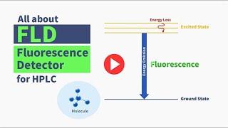 What is a Fluorescence Detector (FLD)?