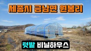 텃밭 비닐하우스 (세종시 금남면 원봉리) crop cultivation vinyl house