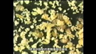 北之特樂銀-防蹣,除蹣-教學片