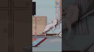vacuum cleaner cat/kucing penyedot debu