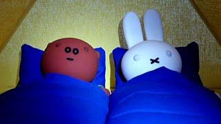 Miffy Und Grunty Schlafen Im Zelt! | Miffy | Ganze Folge