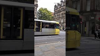 Yellow Leaves & Yellow Trams #manchester #autumn #tram #beenetwork #metrolink #uk