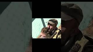 Тайган - Удод тайгановский #тайган #олегзубков #гамадриллюся #люська #паркльвовтайган #тайганкрым