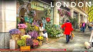 Londo Spring Walk | 4K HD London City Walking Tour | Walking Luxury London Chelsea