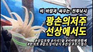 꽝손저주   폭우속 삼길포항 선상 갑오징어낚시 만석호 조기철수