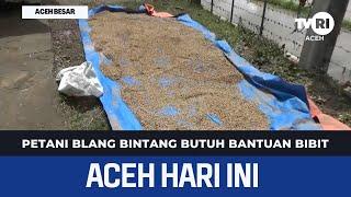 Petani Blang Bintang Butuh Bantuan Bibit | Berita Aceh Hari Ini