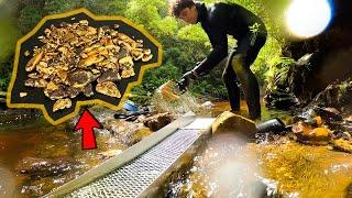 Finding $1000 Worth of Gold Every Day