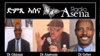 Voice of Assenna: Panel Discussion on the Eritrean Constitution, Mon, Feb 2nd, 2015