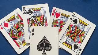 Come Fly With Me - Aviator playing cards - 52 card laboratory #aviator