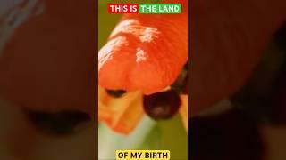 #EricDonaldson   #landofmybirth my #Jamaica 