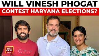 Haryana Assembly Polls: Vinesh Phogat's Election Bid in Haryana Sparks Political Debates