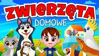 Kazio i ZWIERZĘTA DOMOWE dla dzieci  Film edukacyjny | Bajka o zwierzętach domowych