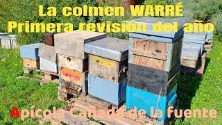 Revisión de colmenas Warré N°2