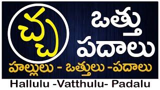 Cha Vattu Padalu | How to write Cha vattu | చ వత్తు పదాలు | Hallulu vatthulu padalu in telugu