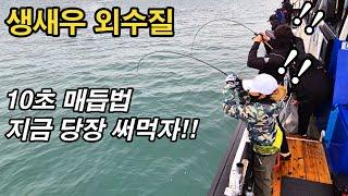 외수질낚시 대물 농어, 민어를 낚을 수 있는 기술!! 입문자 필수 영상입니다!