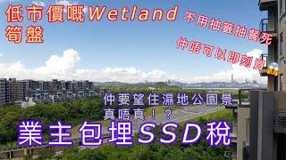 【心動哥第32集】抽唔到Wetland Seasons Bay?不用絕望，市場唯一一間真放盤，仲要業主包SSD，仲要全新未住過，真定假呀