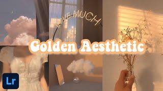 Golden Aesthetic Presets/Asthetic Lightroom Preset/ Free DNG Presets/ Lightroom Mobile Tutorial 2020