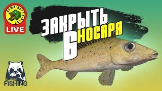 Закрываем носаря #6 - РР4 (Стрим - Русская рыбалка 4)