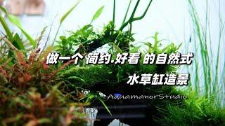 水草缸教程｜其实越简单的造景越耐看，非常适合新手的一个小景~