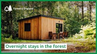 Overnight stays in the forest