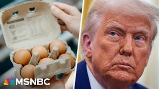 'Gaslighting' Americans: Trump says he's done 'a lot of things' to get egg prices down