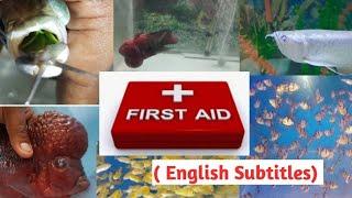 First Aid for fish. | Must watch video  for Hobbyists|