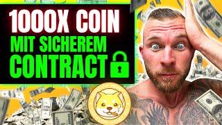 Cashflow Money Inu: 1000X SHITCOIN mit sicherem Contract?