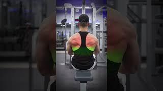 3 Cable Exercises for a BIGGER Back