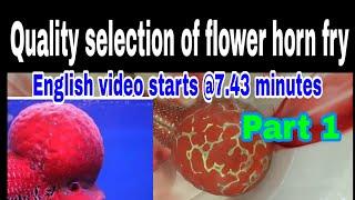 Quality check for flower horn selection