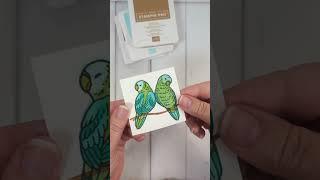 fun fold card with the Feathered Friends stamps from Stampin' Up!