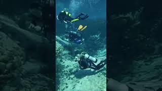 3 scuba divers scuba diving