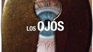 Los Ojos Azules  #sabiasque #curiosidades #ojosazules #ciencia #aprende