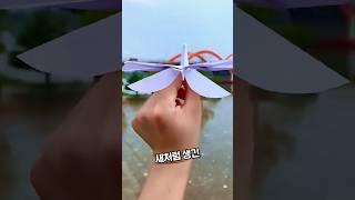 새가 날아든다~~
