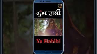 Ya Habibi | Movie - Shubh Raatri | Rahul Kumar, Karnika Mandal #bollywood #ytshorts #shubhratri