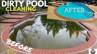 Dirty Pool Cleaning-Before & After