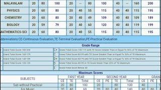 My +2 result  #keralaresult #12th #hse #public #exam #result #2022