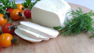 The most delicious cheese in 5 minutes! Add this simple ingredient to boiling milk! cheese recipe