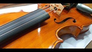 VIOLINO EAGLE VK844 - Luthier de violinos