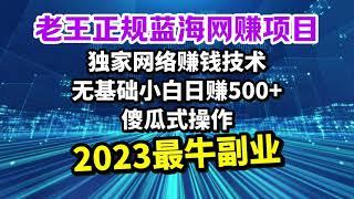 2023最稳定副业，老王正规蓝海网赚项目全网独家网络赚钱技术全程傻瓜式操作，日赚500－1000元！