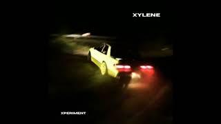 XYLENE  -  二甲苯