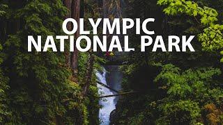 OLYMPIC NATIONAL PARK IN ONE WEEKEND | The Lovers Passport