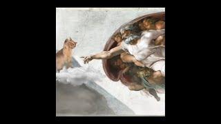 On The 8th Day, God Created The Cat