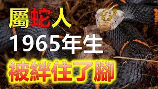 2024生肖運勢，十二生肖1965年屬蛇人，餘生被誰絆住了腳？生肖蛇你想一想，真的不知道用什麼詞語來形容，屬蛇人的命理，生肖蛇人風度翩翩善於辭令很會鑽營。屬蛇人不會炫耀自已才能，而是暗自砥礪（生肖蛇）