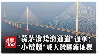 大灣區海上新地標!「黃茅海跨海通道」正式通車 珠海-江門車程僅需半小時~大橋主塔"小蠻腰"造型結合技術與美學【大陸360】20241212@全球大視野Global_Vision