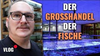 Alex on Tour! Zu Besuch bei EFS auf der Hausmesse - VLOG