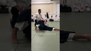 #aikido and power