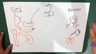 Tetany | Causes | Signs | Treatment