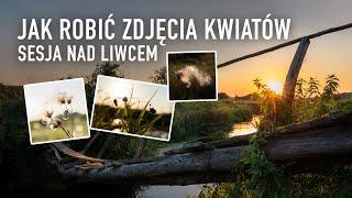 Krótki poradnik: jak robić zdjęcia kwiatów. A na koniec: dziwny mostek na tle zachodu słońca.