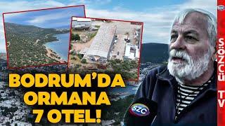 Ne Mavisi Kaldı Ne Yeşili! Bodrum'da Ormana 7 Otel! Kıyı İşgalleri, Kaçak İskeleler...