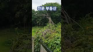 제주도 시골집 전문 부동산